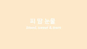 蜜桃色背景，帶有韓文及英文文字「blood sweat & tears」