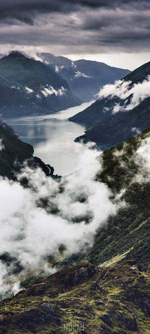 一條蜿蜒的峽灣，四周是陡峭的綠色山脈，雲霧在下方飄動。 — Pixel 9 Pro Fold 壁紙