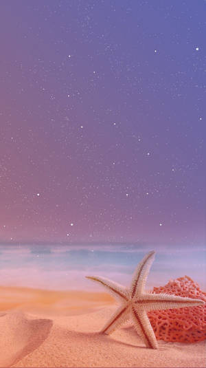 星光暮色天空下的海星和珊瑚 — 沙灘 壁紙