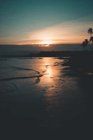 夕陽下的海洋，沙灘上棕櫚樹的剪影