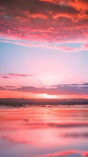 粉紅夕陽雲彩倒映在平靜水面，遠方地平線。