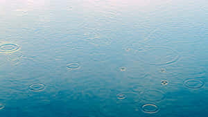 雨滴在平靜的藍色水面上形成漣漪。