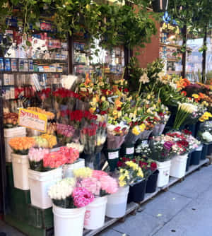 城市花店外水桶裡色彩繽紛的花束。 — Oppo Find N6 壁紙