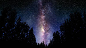 銀河系在夜間拱起於黑暗森林之上，有無數星星。 — 太空 壁紙