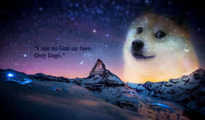積雪的山峰，星空和帶有文字的巨型 Doge 臉迷因。 — BB GIF 壁紙