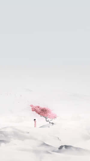 一個人站在雪地上的一棵粉紅色櫻花樹下。 — 簡約風格 壁紙