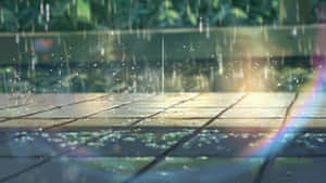 木甲板上的雨滴，陽光透過綠植產生棱鏡效果 — 靚靚動畫 壁紙
