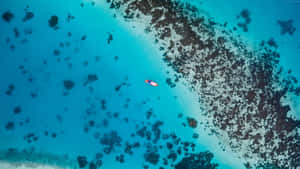 槳板上的人漂浮在珊瑚礁附近的碧綠海水中。