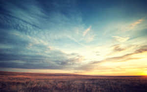 夕陽映照廣闊的草地，上方有色彩斑斕的雲朵。