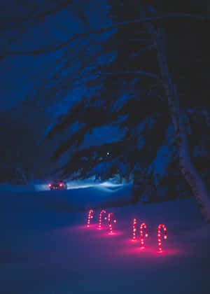 夜間雪中的紅色拐杖糖燈，遠處有一輛汽車。 — 美麗聖誕 壁紙