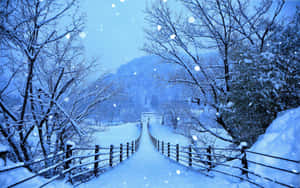 雪覆蓋的木橋穿過冬季森林，雪花飄落。 — 16:10 壁紙