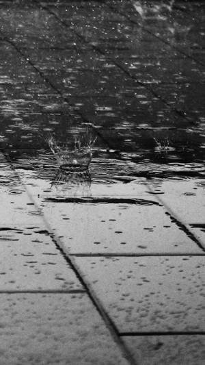 雨點濺在濕的混凝土磚上，黑白效果。