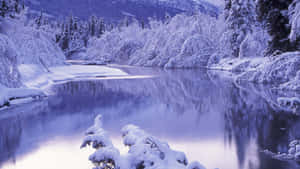 冬日暮色中映照樹木和山脈的積雪河流。 — 冬天桌面 壁紙
