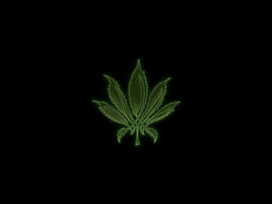 在黑色背景上帶有霓虹燈輪廓的發光綠色大麻葉。 — 食草 壁紙