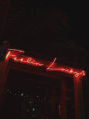夜晚，黑暗門口上方帶有棕櫚葉的紅色霓虹燈牌，寫著 'Feelin Lucky'。
