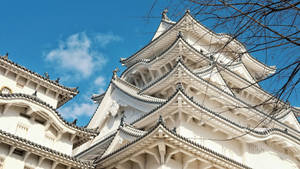 白色日本城堡，階梯式屋頂，明亮藍天下有光禿樹枝。