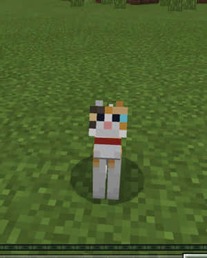 一個Minecraft角色，擁有色彩繽紛的臉孔和紅色腰帶，站在草地上。