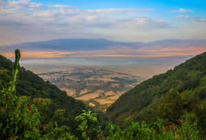 日出時恩戈羅恩戈羅火山口的全景，綠色的山丘和金色的平原。 — 湖 壁紙