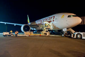 埃塞俄比亞航空飛機在夜間於機場停機坪上裝載貨物。