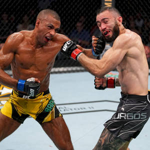 兩名MMA拳手在UFC比賽期間於八角籠中互毆。