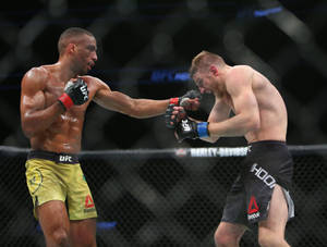 兩名戴著MMA手套的男性拳手在八角籠內互相出拳。