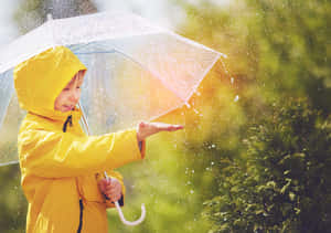 穿著黃色雨衣的孩子在花園裡透明雨傘下接住雨滴。