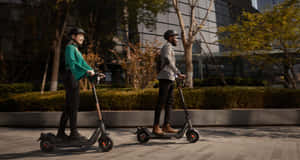 兩個人在陽光明媚的日子裡在城市公園騎電動滑板車。
