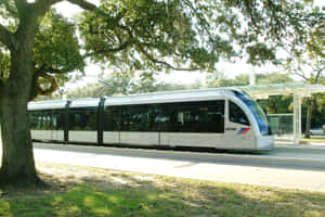 銀色現代電車在晴朗的日子裡經過枝葉繁茂的大樹下。