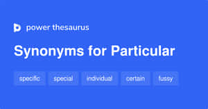 藍色網頁顯示 particular 的同義詞，包括 specific special individual certain fussy