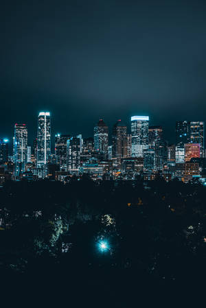 城市天際線的夜景，有燈火通明的摩天大樓和前景的黑暗樹木。