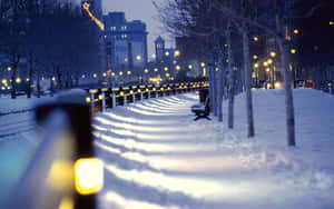 被溫暖街燈照亮的積雪城市公園小徑，黃昏時分，有光禿禿的樹木和長椅。