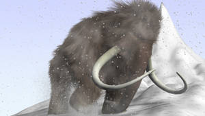 長毛猛獁象在雪地山區行走。 — 雪 壁紙