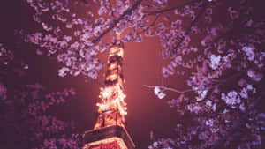 櫻花在洋紅色夜空下環繞著夜晚亮燈的東京鐵塔。