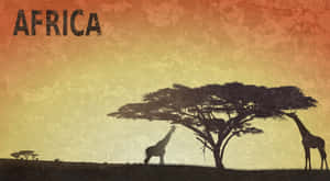 日落時分，兩隻長頸鹿在金合歡樹下，帶有「AFRICA」文字。