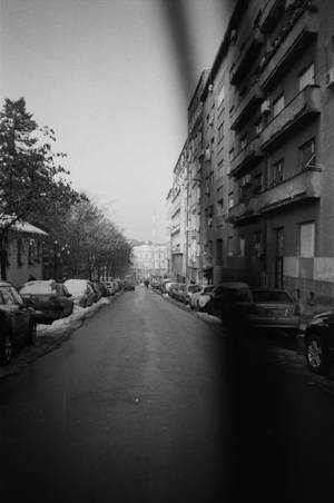 冬日街道，停泊的汽車和積雪樹木，灰色天空。