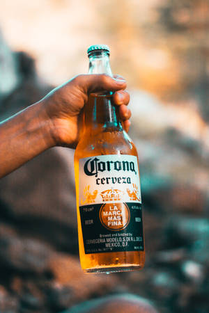 日落時分，戶外一隻手拿著冰凍的Corona啤酒瓶。