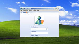 Windows XP 預設桌布上的 MSN Messenger 登入畫面。