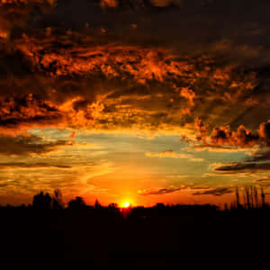 戲劇性的夕陽，熾熱的橙色雲朵籠罩在黑暗的樹木剪影之上。