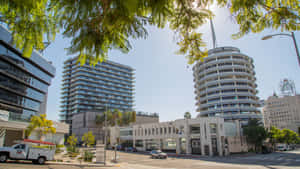 陽光普照的城市街道，有Capitol Records大樓和現代玻璃摩天大樓，被樹枝框住。 — 樹 壁紙
