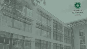 現代大學建築，玻璃窗和樹枝映襯著綠色天空。