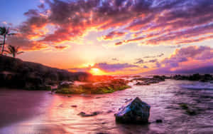 岩石海灘上的日落，棕櫚樹和水中色彩繽紛的天空倒影 — 夏威夷 壁紙