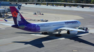 夏威夷航空飛機停在陽光明媚的機場停機坪上，投下長長的影子。
