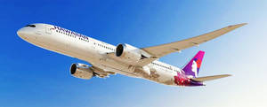 夏威夷航空飛機在清澈藍天中飛行