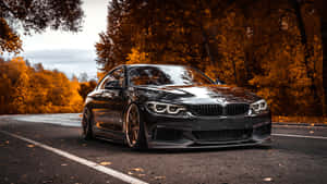 黑色BMW轎跑車停在秋葉林間道路上，帶有橙色樹葉