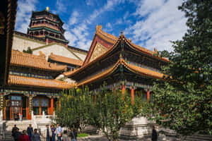 遊客探索裝飾華麗的中式宮殿建築，金色屋頂和紅色柱子。 — 建築 壁紙