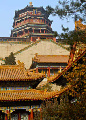 傳統中式寶塔，金色屋頂和紅色柱子，周圍環繞著秋樹。 — 建築 壁紙