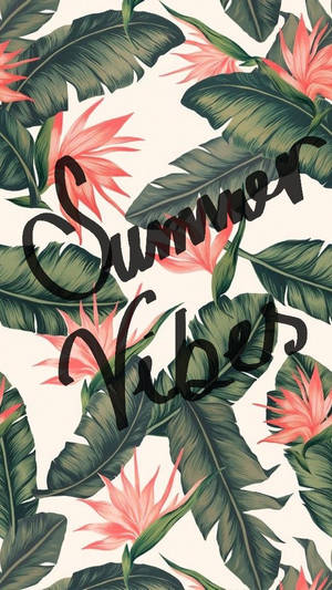 熱帶樹葉和粉紅色花朵，帶有「Summer Vibes」文字。