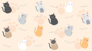 在蜜桃色背景上帶有腳印和meow文字的可愛卡通貓咪。