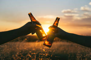 兩人在夕陽下的田野中碰啤酒瓶