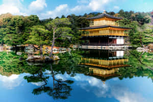 金色寺廟喺靜止水面倒映，有綠樹同藍天 — 日本 壁紙